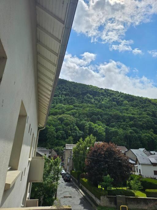 Apartment Chez Louise, T3 A Deux Pas Du Centre